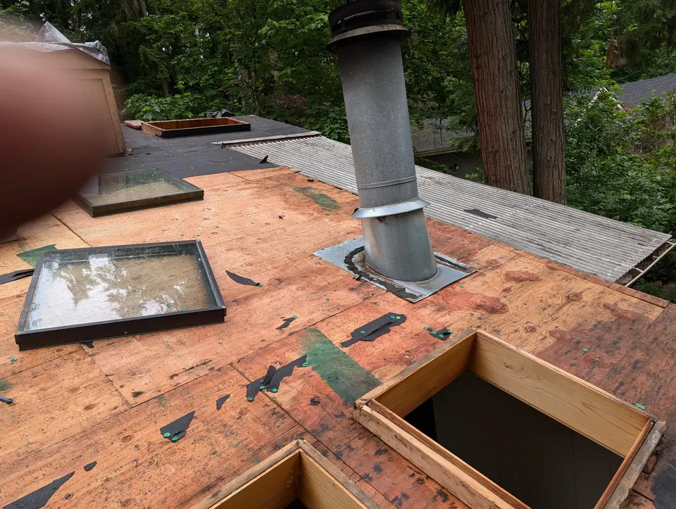 Fresh plywood sheathing installed with skylight openings framed in
