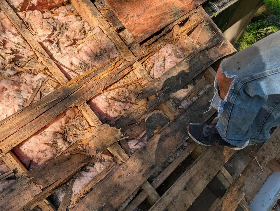 Roof rot damage with exposed insulation during a rot tear-out